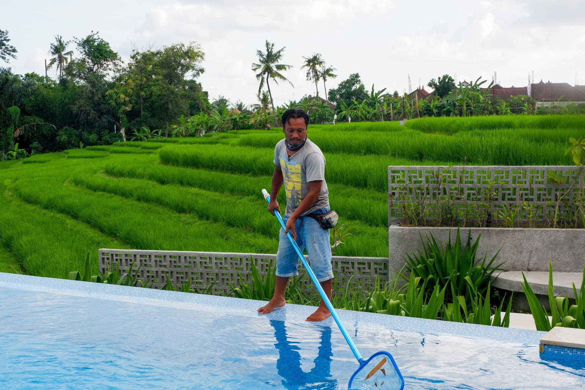 Pool Maintenance & Cleaning - image 1